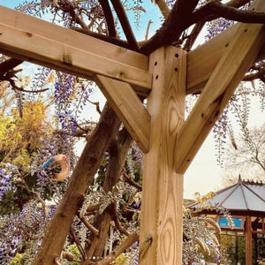 Box Garden Pergola - 2.4m Width - Wooden Pergolas